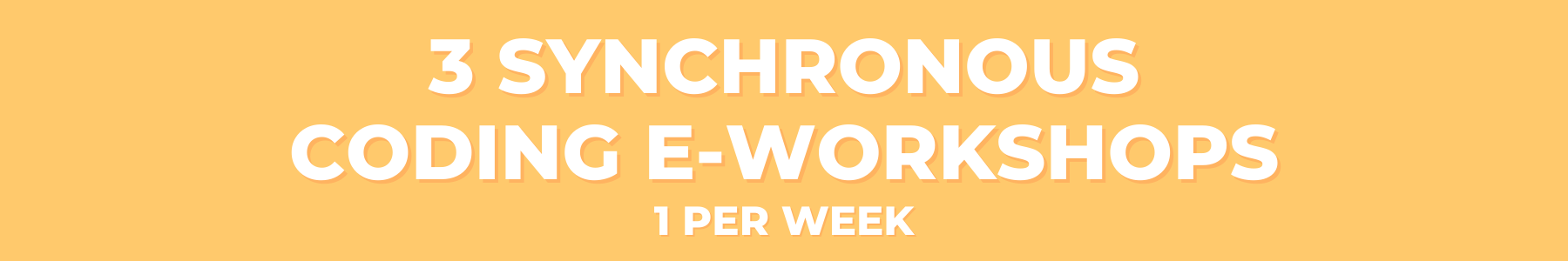 3 synchronous coding e-workshops 1 per week