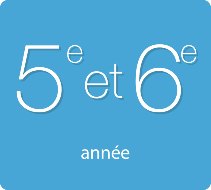 5 6 annee