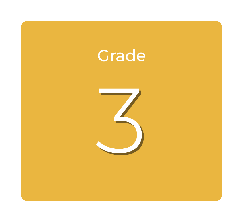 grade 3