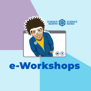e-workshops